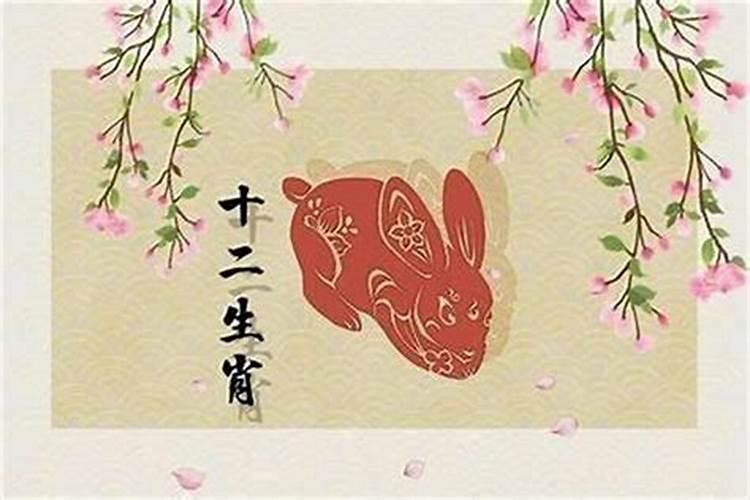 2025年哪些生肖适合生宝宝