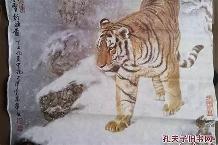 虎和马可以一起做生意吗