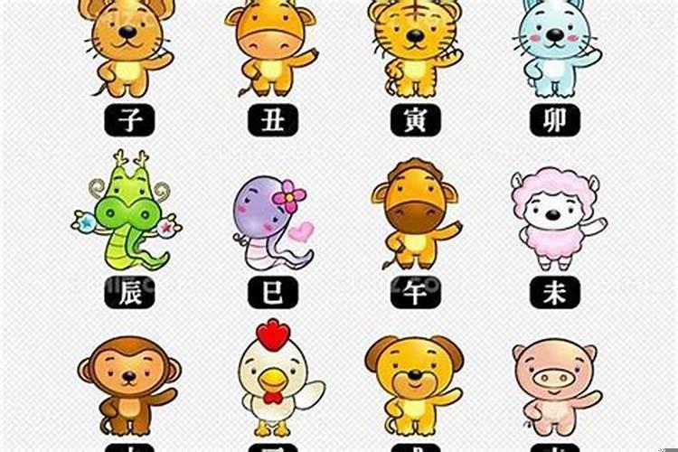 十二生肖神仙会指什么生肖