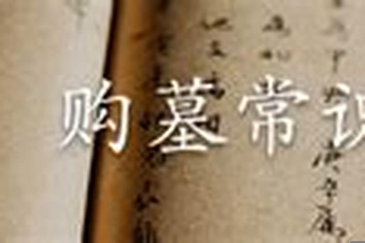 今年下葬的合适日期