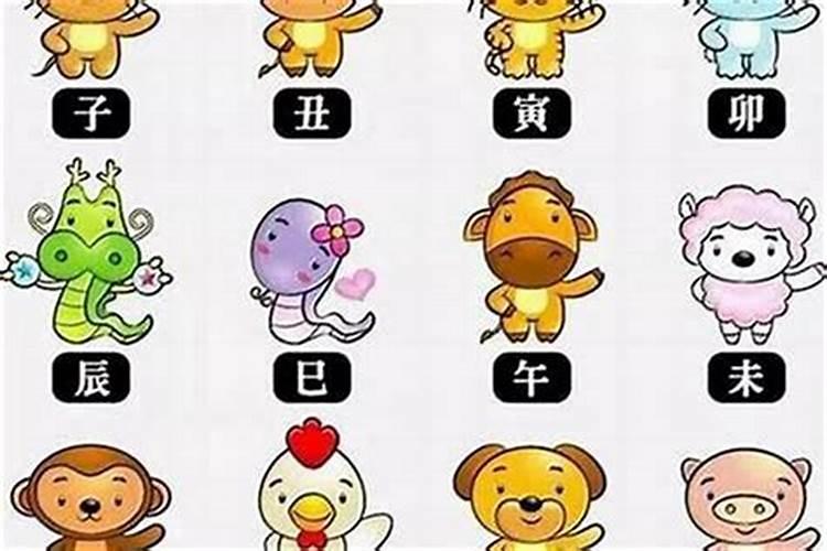 十二生肖神仙会指什么生肖