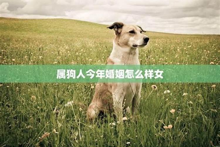 94年的属狗女2021年的运势