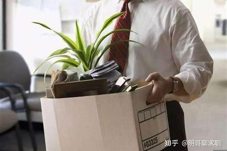梦到辞职了很后悔又不辞职了