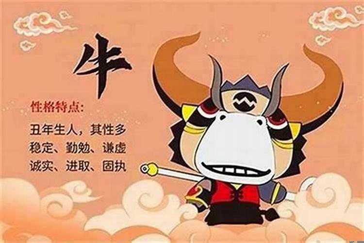 属猪买房几楼为好风水