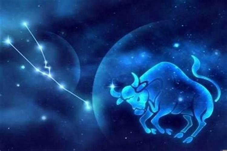 金牛男喜欢什么样的星座女