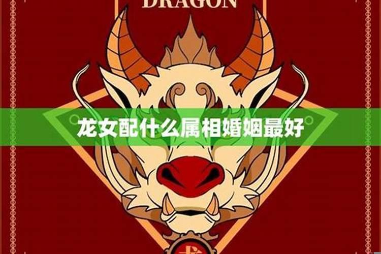 兔女配什么生肖最好