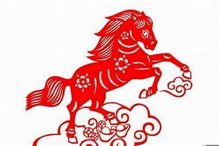 属马的寿命有多长