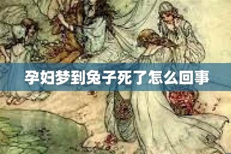 梦见兔子死了