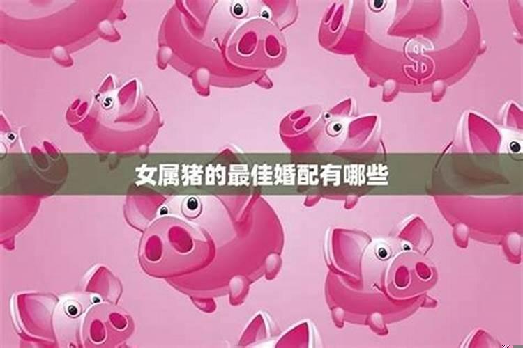 属猪的女性和什么属相最配婚