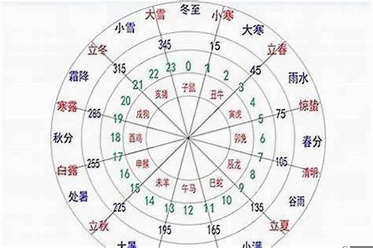 衣服上有虎头的忌讳