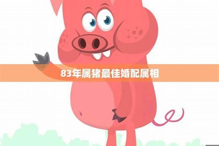 83年属猪和哪个属相配