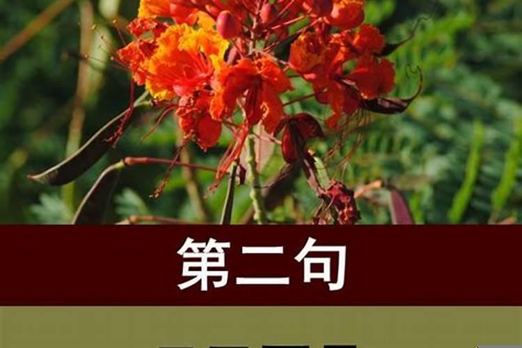 客厅布局摆放不放茶几