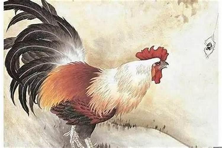 属鸡人与什么属相相克？属鸡最怕的人是谁