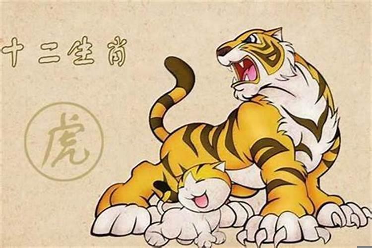 生肖虎最怕哪个生肖