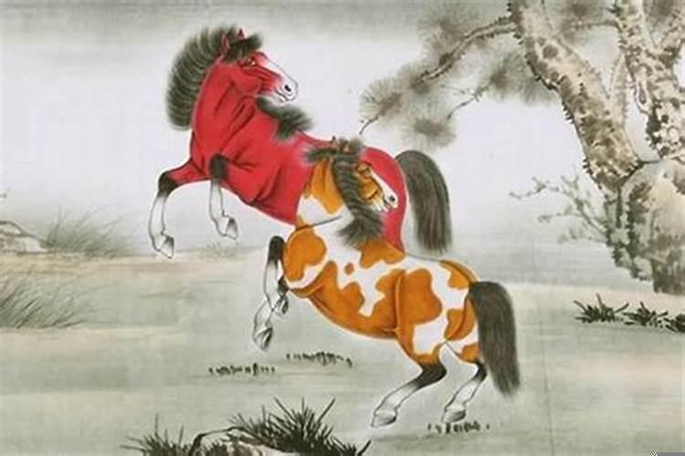 属马人的命运如何？属马的今年爱情方面怎么样