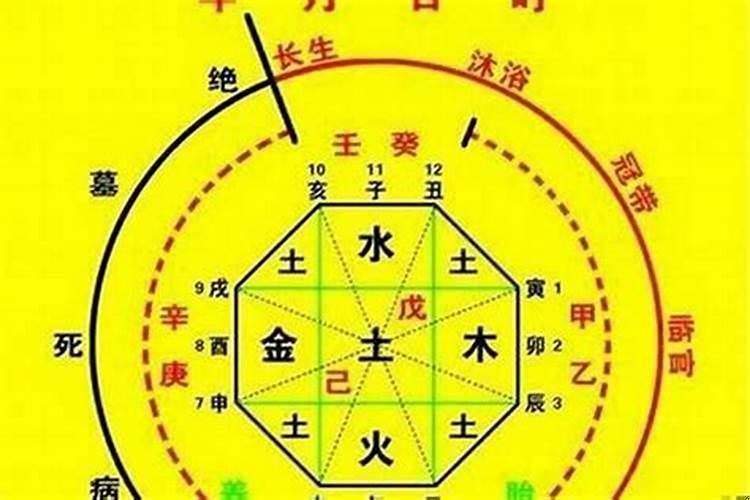 从财的八字行什么大运好