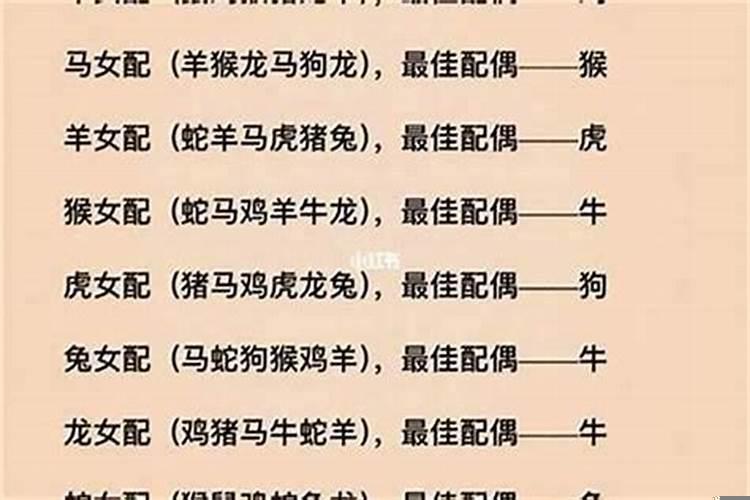03年属羊配什么颜色？03年属羊找对象找什么生肖女