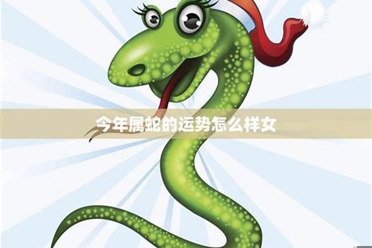 属蛇的运气怎么样？属蛇的人命怎么样？