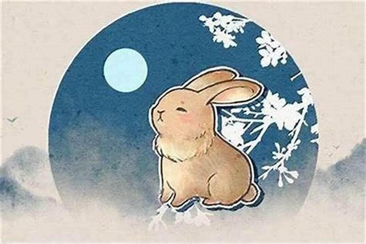 2025年属兔几月份好？2025年属什么生肖年是什么年