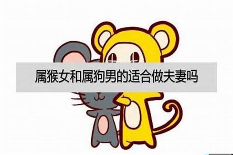 男属猴女属猴婚姻相配吗？属猴和属猴的合不合婚