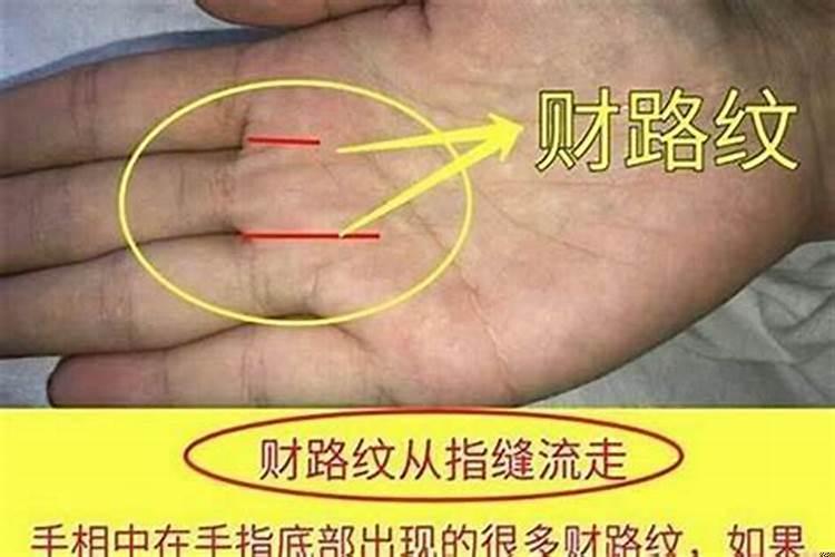 漏财手的命运都坎坷吗