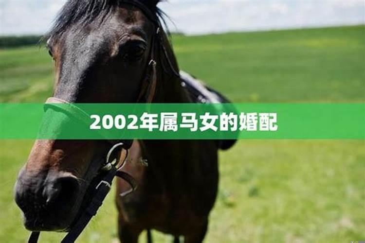 2002年马女配什么属相？女马配什么属相合婚最好