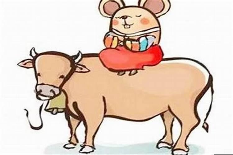 鼠和牛的婚姻相配吗？属鼠和属牛的婚姻相配吗