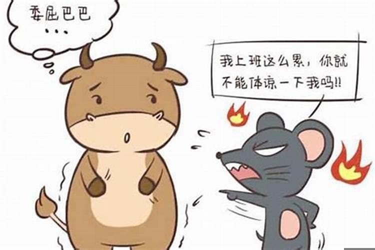 鼠和牛的婚姻相配吗？属鼠和属牛的婚姻相配吗