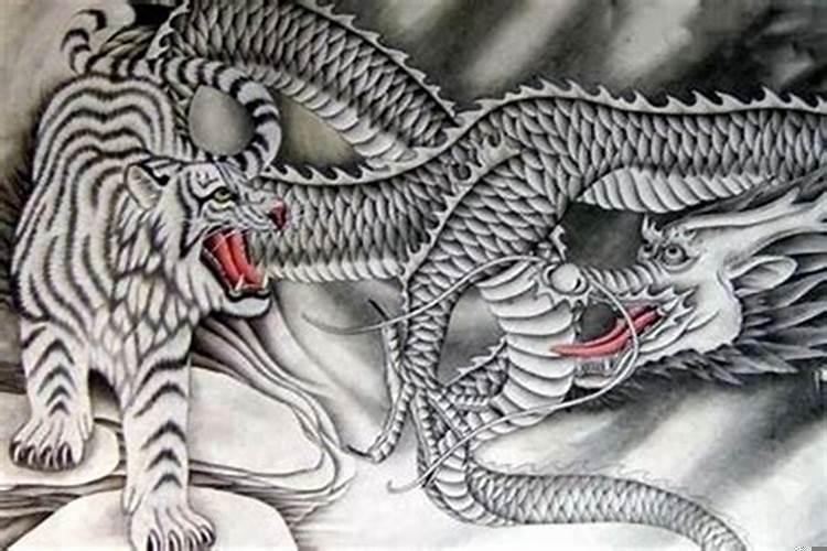 龙与虎恋爱关系（属马的对象）