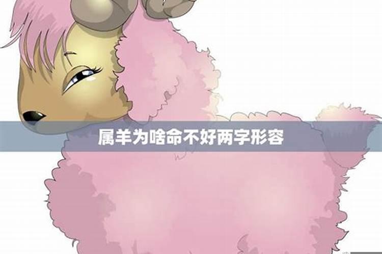 2025年属兔几月份好？2025年属什么生肖年是什么年