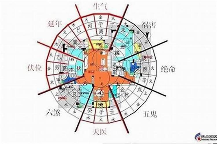 鱼缸里黄粉放多了对鱼有坏处吗