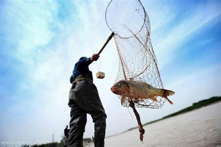 梦见捞了很多鱼虾蟹