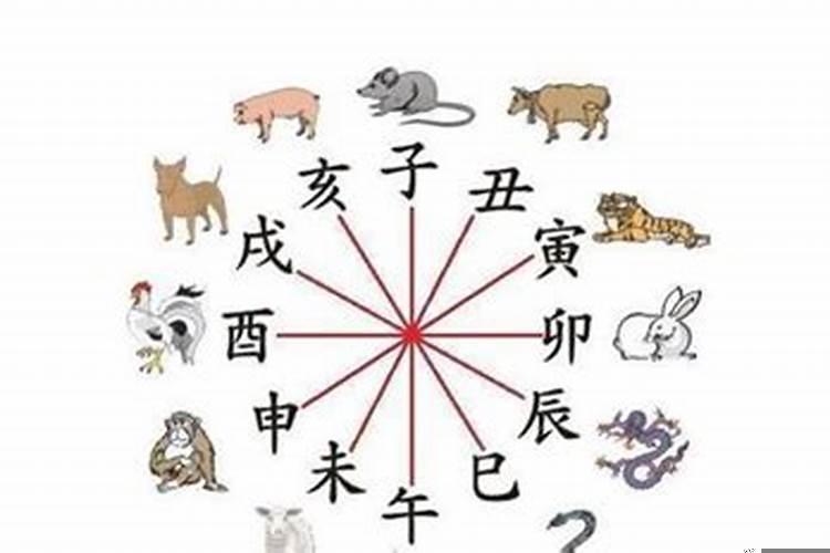 相冲生肖在一起好不好？属牛和什么属相最不合