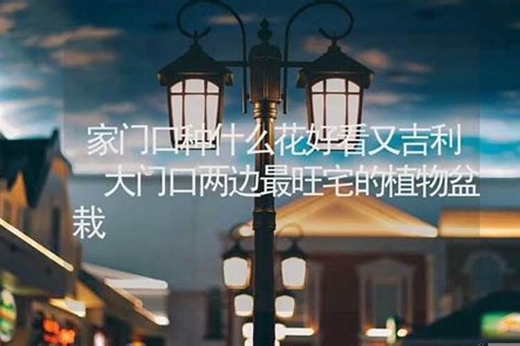 大门口种什么花好看有容易养殖又合适