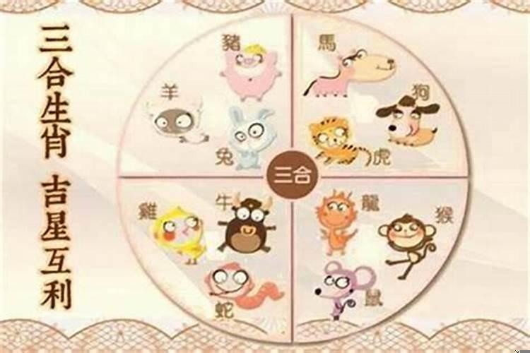属鼠人最大财的生肖（72年属鼠人的事业运程如何）