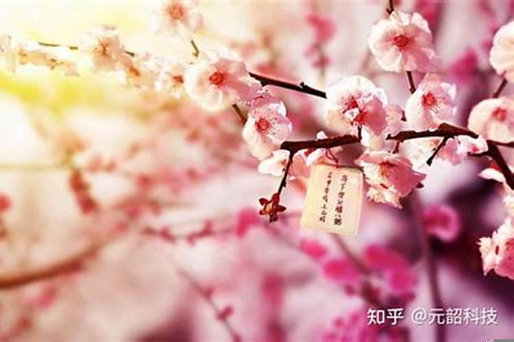 防止桃花运办法，斩桃花最有效的方法