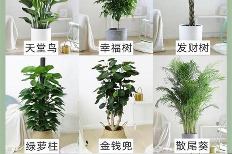 轴流式风机风向