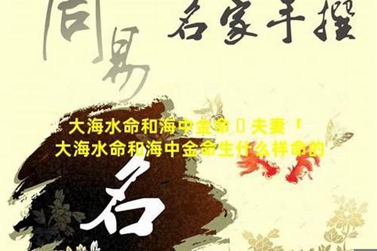 大海水命与炉中火命相配吗？八字相冲可以化解吗