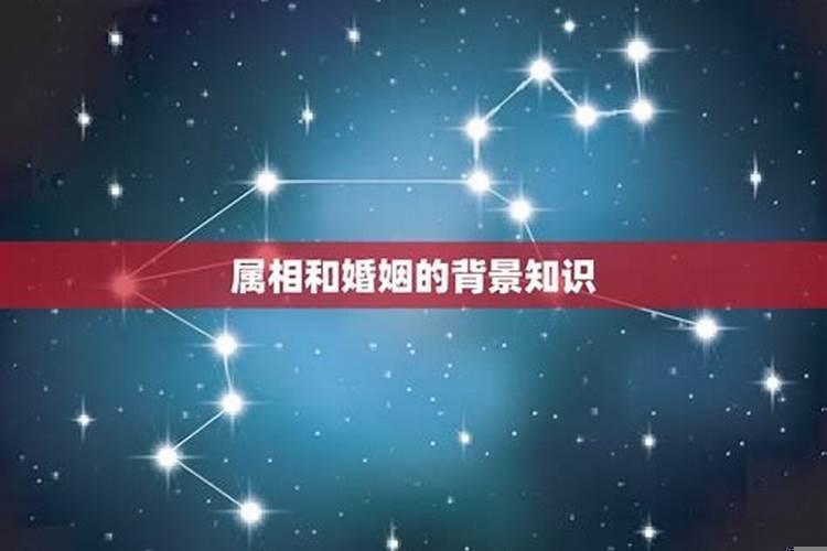 婚配属相重不重要(什么属相婚配好)