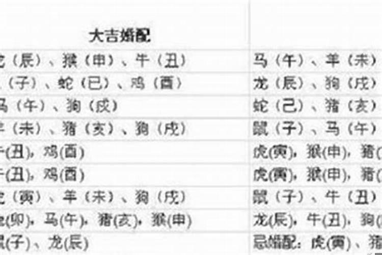 属相三会适合结婚吗？属相蛇和属相兔婚配