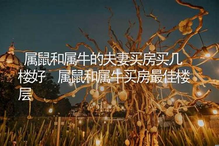 属猴属鼠的夫妻买房几楼合适