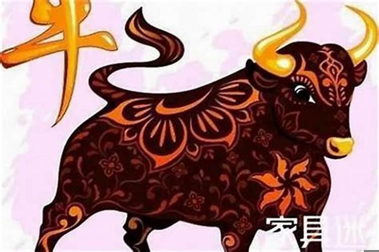 属牛的跟哪些属相相合？属牛和什么属相最配