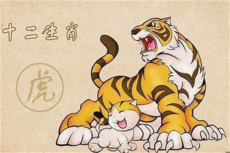 属虎男与属牛女结婚合适吗？女牛与虎男合适结婚吗