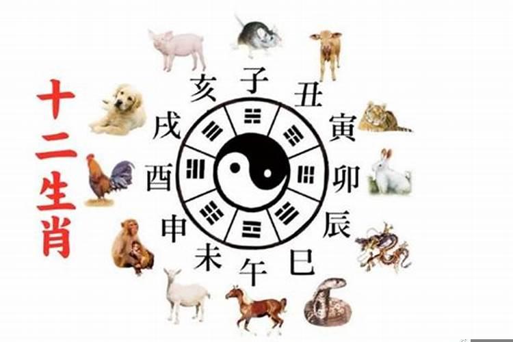 结婚时属相相冲怎么办？婚配时辰相冲如何化解