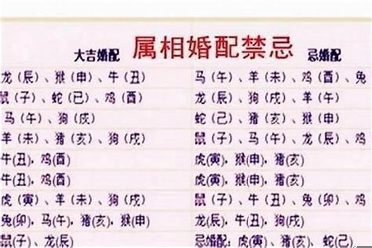 婚配属相重不重要(什么属相婚配好)