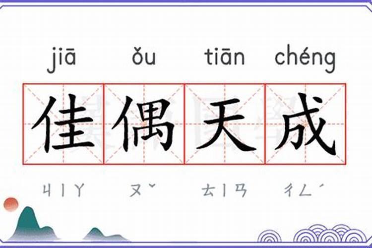 天成佳偶的意思