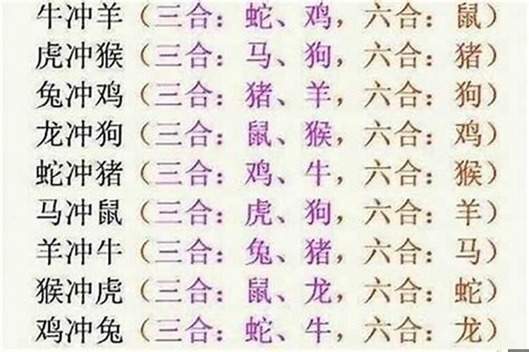 属羊的生肖三合是什么？属羊的与什么生肖相合