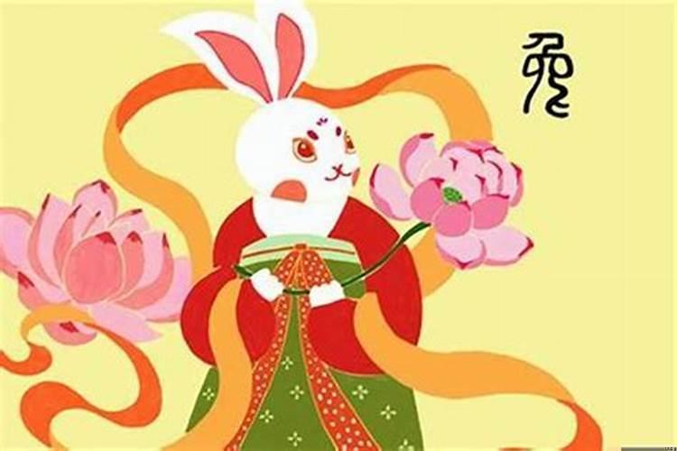 为什么属兔今年运气差？属兔的今年为什么霉运不断呀