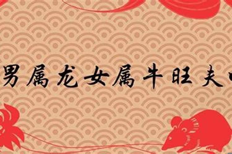女属龙和男属牛婚姻相配吗？属龙的和属牛的合婚吗？
