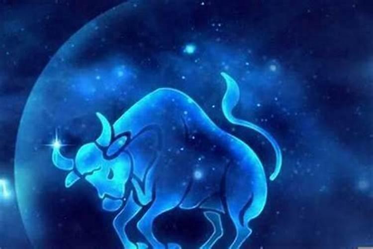 金牛女其实很聪明 金牛座的事业贵人